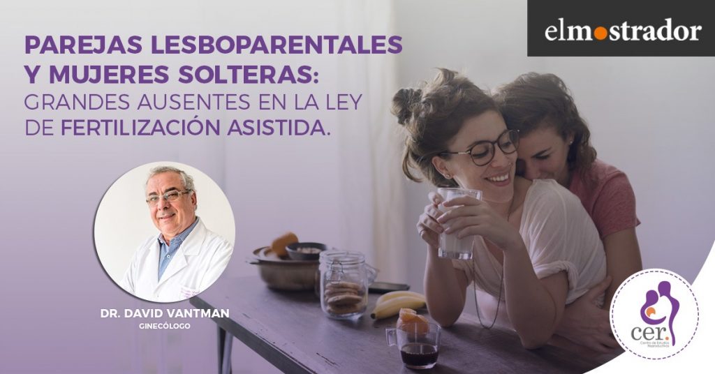 Las grandes ausentes en la ley de fertilización asistida