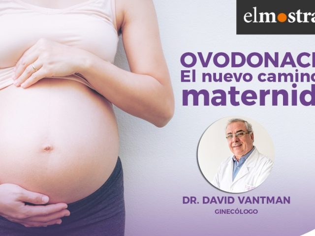 El camino a la maternidad