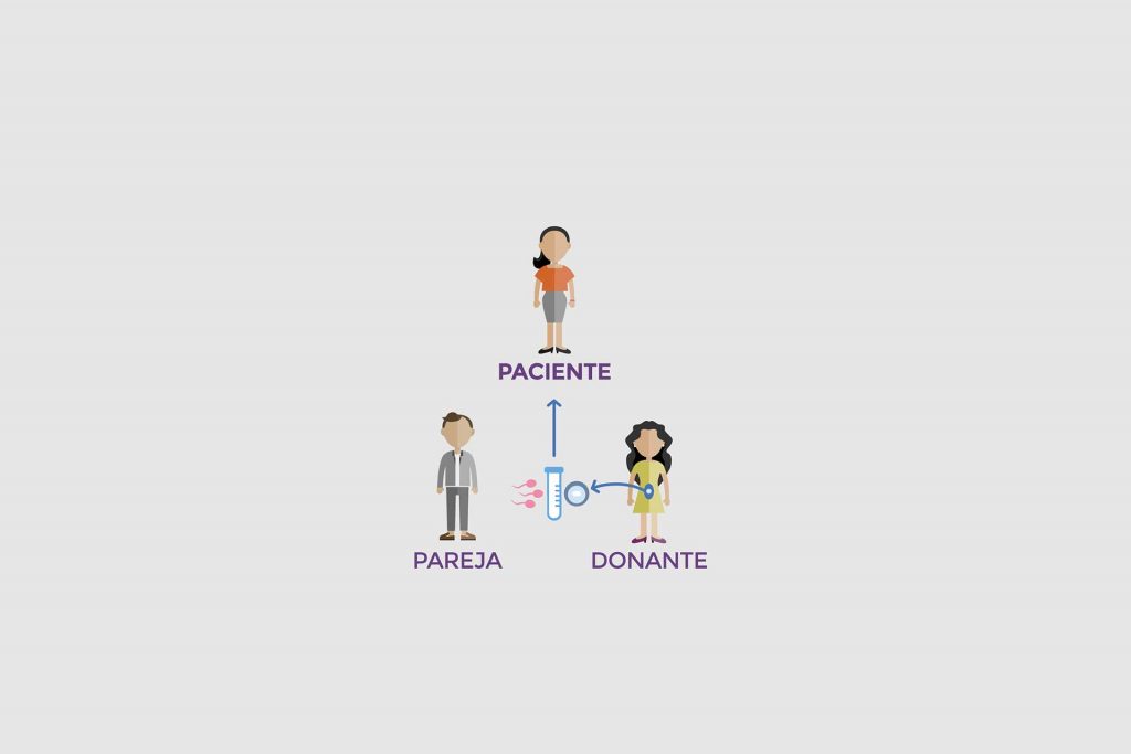 En Clínica CER somos especialista en tratar los problemas de fertilidad. Todos nuestros Ginecólogos poseen la subespecialidad en infertilidad. www.cer.cl