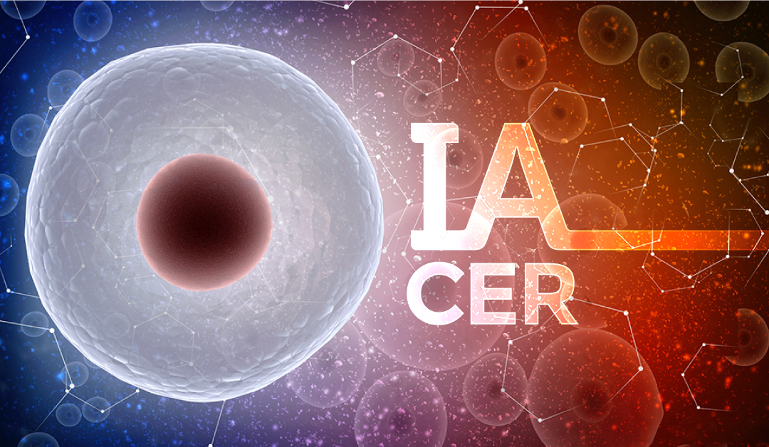 En Clínica CER somos especialista en tratar los problemas de fertilidad. Todos nuestros Ginecólogos poseen la subespecialidad en infertilidad. www.cer.cl