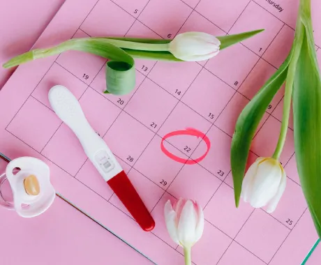 Inseminación intrauterina con Bono PAD Fonasa Clínica CER Inseminación intrauterina con Bono PAD Fonasa Clínica CER